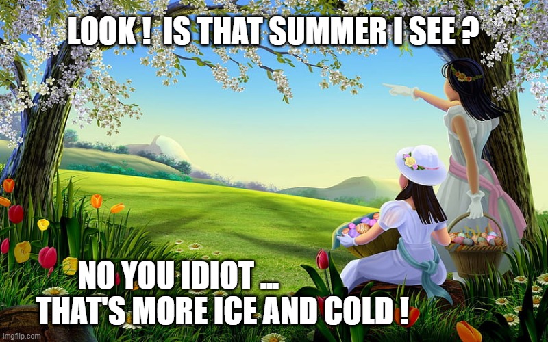 SUMMER IS HERE? | LOOK !  IS THAT SUMMER I SEE ? NO YOU IDIOT ... THAT'S MORE ICE AND COLD ! | image tagged in spring | made w/ Imgflip meme maker