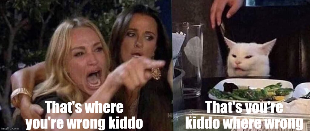 That's where you're wrong kiddo That's you're kiddo where wrong | image tagged in woman yelling at cat | made w/ Imgflip meme maker