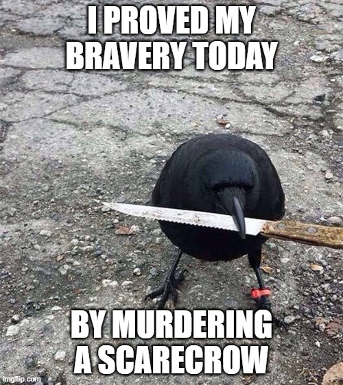 I PROVED MY BRAVERY TODAY; BY MURDERING A SCARECROW | image tagged in murder,crow,bird | made w/ Imgflip meme maker