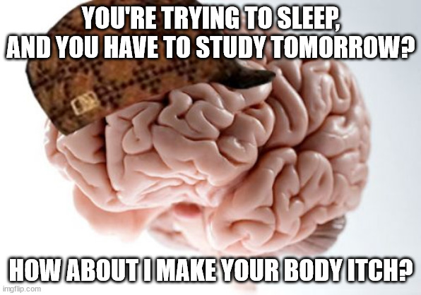 That's why I have insomnia | YOU'RE TRYING TO SLEEP, AND YOU HAVE TO STUDY TOMORROW? HOW ABOUT I MAKE YOUR BODY ITCH? | image tagged in memes,scumbag brain | made w/ Imgflip meme maker