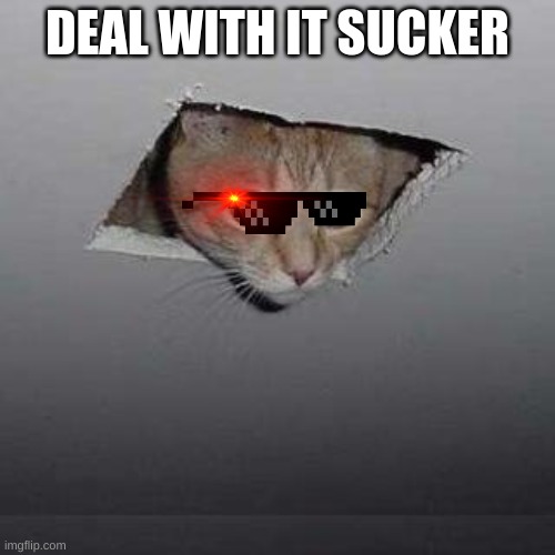 Ceiling Cat | DEAL WITH IT SUCKER | image tagged in memes,ceiling cat | made w/ Imgflip meme maker
