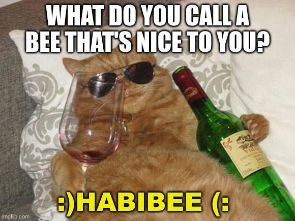 HABIBEE MY HABIBEE | WHAT DO YOU CALL A BEE THAT'S NICE TO YOU? :)HABIBEE (: | image tagged in funny cat birthday | made w/ Imgflip meme maker