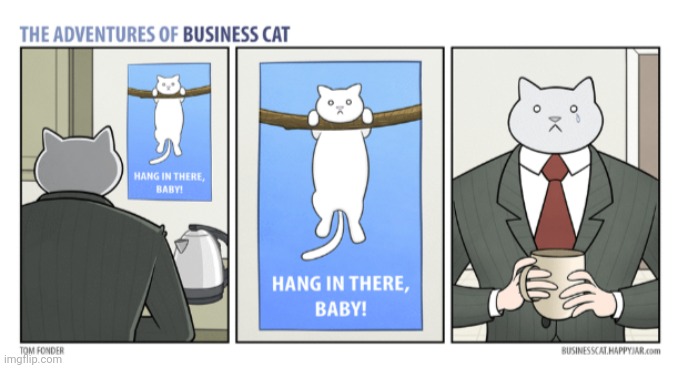 The Adventures Of Business Cat 4 Imgflip