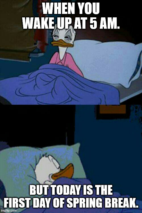 sleepy donald duck in bed | WHEN YOU WAKE UP AT 5 AM. BUT TODAY IS THE FIRST DAY OF SPRING BREAK. | image tagged in sleepy donald duck in bed | made w/ Imgflip meme maker