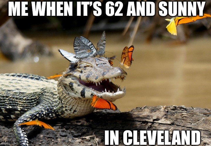 Sunny weather | ME WHEN IT’S 62 AND SUNNY; IN CLEVELAND | image tagged in sun,cleveland,spring | made w/ Imgflip meme maker