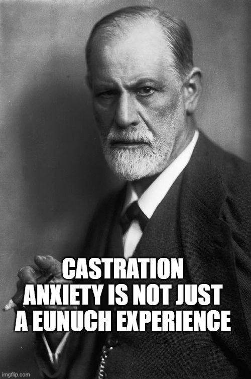 Sigmund Freud | CASTRATION ANXIETY IS NOT JUST A EUNUCH EXPERIENCE | image tagged in memes,sigmund freud | made w/ Imgflip meme maker