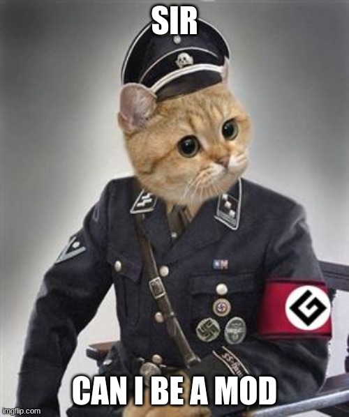 Grammar Nazi Cat | SIR; CAN I BE A MOD | image tagged in grammar nazi cat | made w/ Imgflip meme maker