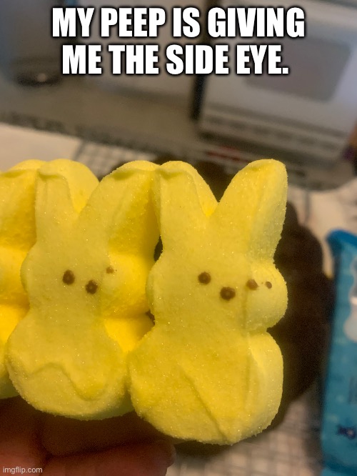 Peep side eye | MY PEEP IS GIVING ME THE SIDE EYE. | image tagged in side eye,peeps,easter,bunnies | made w/ Imgflip meme maker