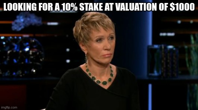 Barbara Shark Tank | LOOKING FOR A 10% STAKE AT VALUATION OF $1000 | image tagged in barbara shark tank | made w/ Imgflip meme maker