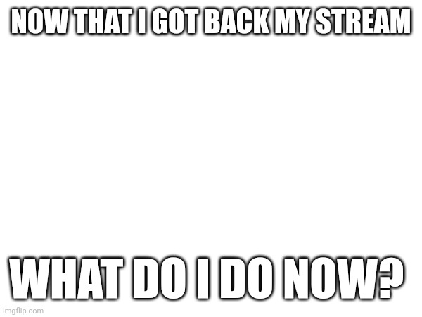 NOW THAT I GOT BACK MY STREAM; WHAT DO I DO NOW? | made w/ Imgflip meme maker