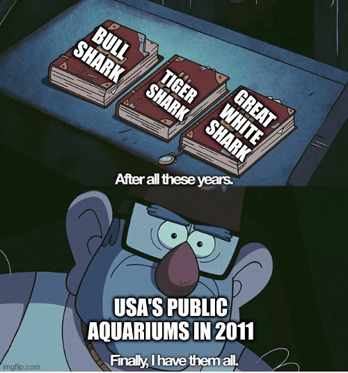 the 3 sharks known to kill humans, under my posession | BULL SHARK; TIGER SHARK; GREAT WHITE SHARK; USA'S PUBLIC AQUARIUMS IN 2011 | image tagged in finally i have them all,aquarium | made w/ Imgflip meme maker