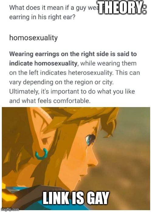 Pls dont come after me it is a joke I love the loz series | THEORY:; LINK IS GAY | image tagged in link,legend of zelda,gay,homosexual,pride,the legend of zelda breath of the wild | made w/ Imgflip meme maker