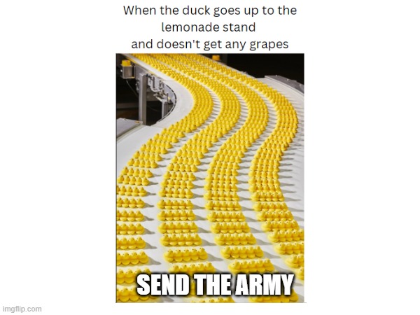 The army | SEND THE ARMY | image tagged in funny,duck,funny memes,army,lemonade stand | made w/ Imgflip meme maker