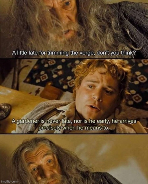 Imagine Merry & Pippin listening to this | image tagged in fun,lord of the rings,the lord of the rings,the hobbit,gardening,garden | made w/ Imgflip meme maker
