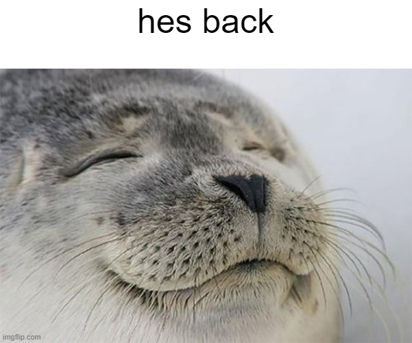 comment images #4 | hes back | image tagged in memes | made w/ Imgflip meme maker