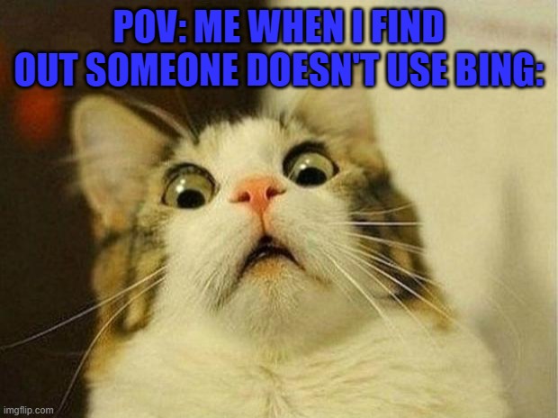 me when i find out | POV: ME WHEN I FIND OUT SOMEONE DOESN'T USE BING: | image tagged in memes,scared cat | made w/ Imgflip meme maker