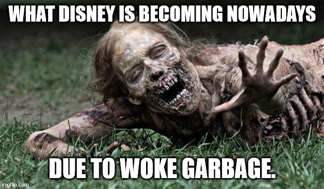 Walking Dead Zombie | WHAT DISNEY IS BECOMING NOWADAYS; DUE TO WOKE GARBAGE. | image tagged in walking dead zombie | made w/ Imgflip meme maker