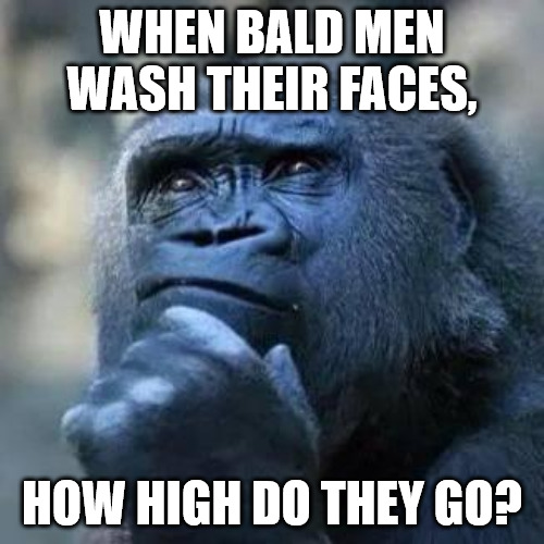 Bald Faces | WHEN BALD MEN WASH THEIR FACES, HOW HIGH DO THEY GO? | image tagged in thinking ape | made w/ Imgflip meme maker