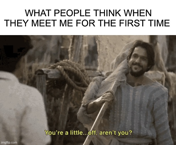 Or see my posts! | WHAT PEOPLE THINK WHEN THEY MEET ME FOR THE FIRST TIME | image tagged in blank white template,the chosen | made w/ Imgflip meme maker