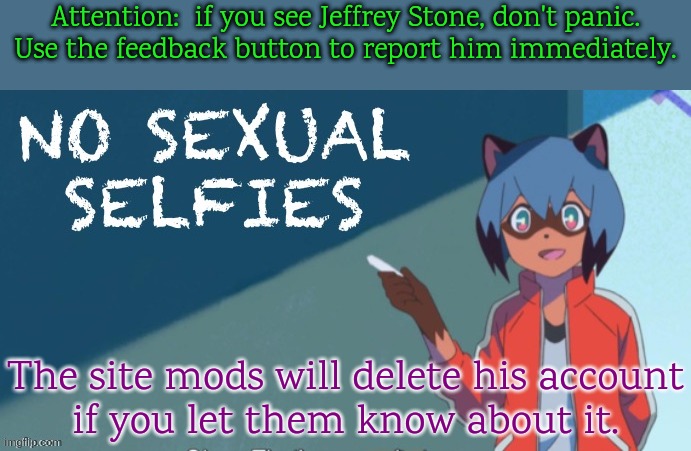 "Request image removal" is your friend. | Attention:  if you see Jeffrey Stone, don't panic.
Use the feedback button to report him immediately. The site mods will delete his account
if you let them know about it. | image tagged in no sexual selfies,imgflip trolls,moderation system | made w/ Imgflip meme maker