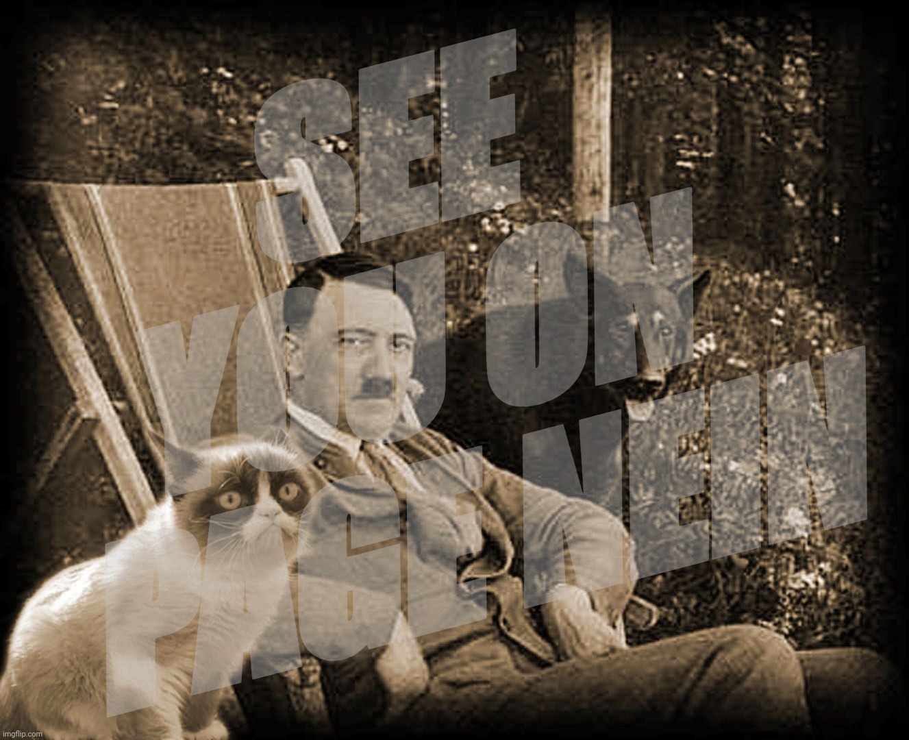Grumpy Cat with Hitler | SEE
YOU ON 
PAGE NEIN | image tagged in grumpy cat with hitler | made w/ Imgflip meme maker