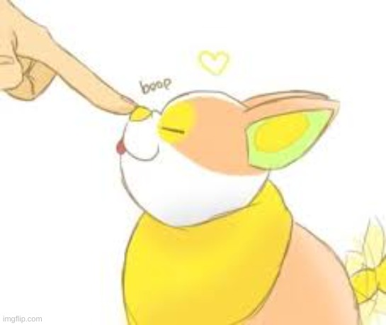 BOOP THE YAMPERS SNOOT | image tagged in yamper | made w/ Imgflip meme maker