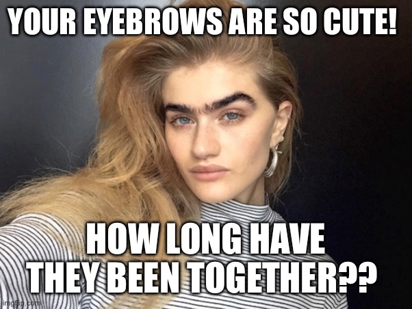 Unibrow together | YOUR EYEBROWS ARE SO CUTE! HOW LONG HAVE THEY BEEN TOGETHER?? | image tagged in relationships,eyebrows,blondes,groom,together,funny memes | made w/ Imgflip meme maker