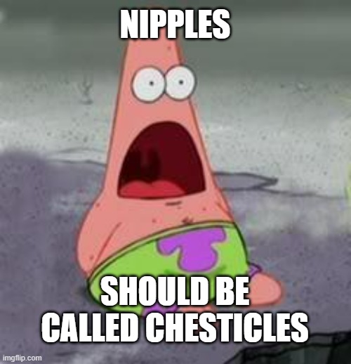 Chesticles | NIPPLES; SHOULD BE CALLED CHESTICLES | image tagged in suprised patrick,suprise,suprised,gasp,chest,testicles | made w/ Imgflip meme maker