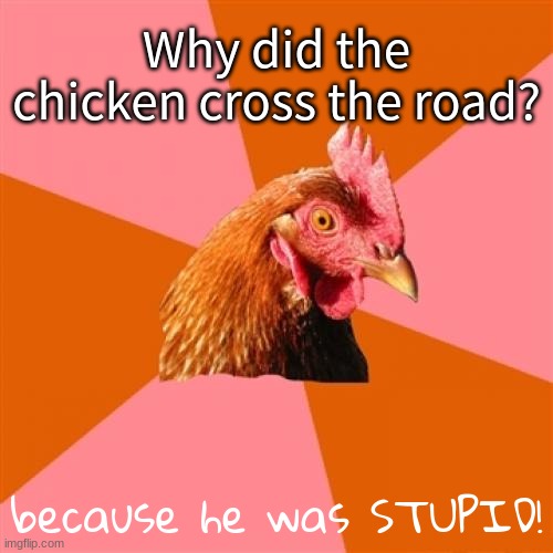Anti Joke Chicken | Why did the chicken cross the road? because he was STUPID! | image tagged in memes,anti joke chicken | made w/ Imgflip meme maker