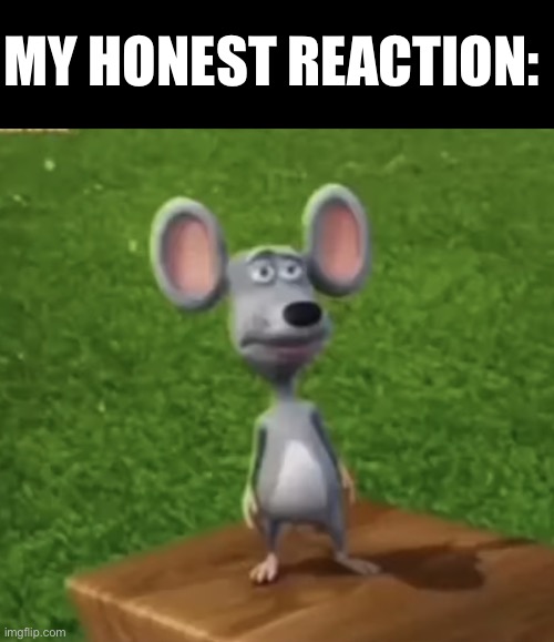 my honest reaction | MY HONEST REACTION: | image tagged in wtf did i just here right now,mouse,reaction | made w/ Imgflip meme maker