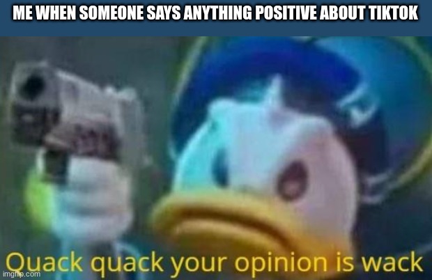 quack quack your opinion is wack | ME WHEN SOMEONE SAYS ANYTHING POSITIVE ABOUT TIKTOK | image tagged in quack quack your opinion is wack,tiktok sucks,oh wow are you actually reading these tags,stop reading the tags | made w/ Imgflip meme maker