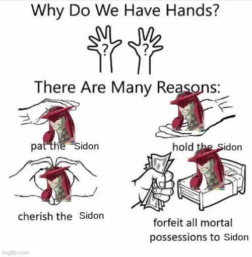 Help I've started simping | Sidon; Sidon; Sidon; Sidon | image tagged in why do we have hands all blank | made w/ Imgflip meme maker