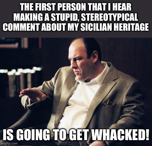 Sicilian humor from somebody with Sicilian ancestry | THE FIRST PERSON THAT I HEAR MAKING A STUPID, STEREOTYPICAL COMMENT ABOUT MY SICILIAN HERITAGE; IS GOING TO GET WHACKED! | image tagged in tony soprano | made w/ Imgflip meme maker