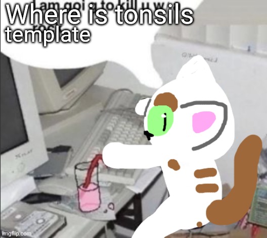spleens the cat at puter | Where is tonsils; template | image tagged in spleens the cat at puter | made w/ Imgflip meme maker