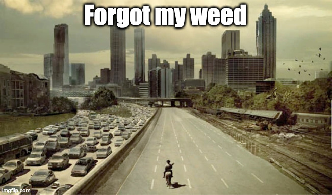 I was in a rush, so I forgot it. Wish me luck! | Forgot my weed | image tagged in the walking dead,weed,memes,funny,atlanta,georgia | made w/ Imgflip meme maker