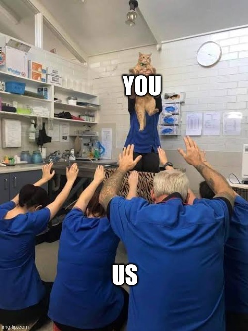 YOU US | image tagged in people worshipping the cat | made w/ Imgflip meme maker
