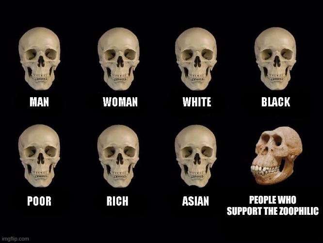 The Skulls | PEOPLE WHO SUPPORT THE ZOOPHILIC | image tagged in empty skulls of truth | made w/ Imgflip meme maker