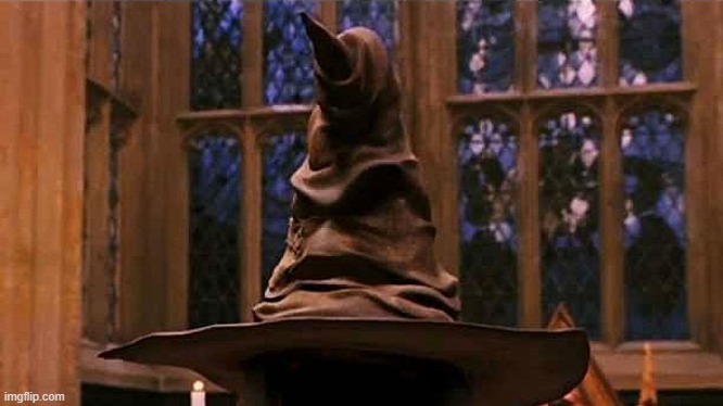 image tagged in sorting hat | made w/ Imgflip meme maker