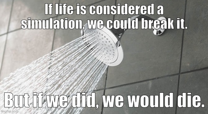 Hello. | If life is considered a simulation, we could break it. But if we did, we would die. | image tagged in shower thoughts | made w/ Imgflip meme maker