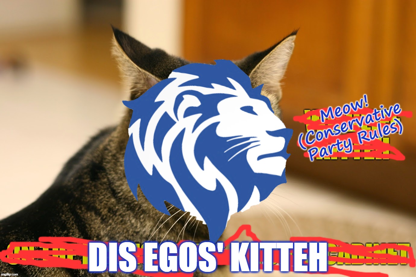 Elected to Congress and ready to fight for feline rights | Meow! (Conservative Party Rules); DIS EGOS' KITTEH | image tagged in memes,kitteh,conservative party,meow,egos | made w/ Imgflip meme maker
