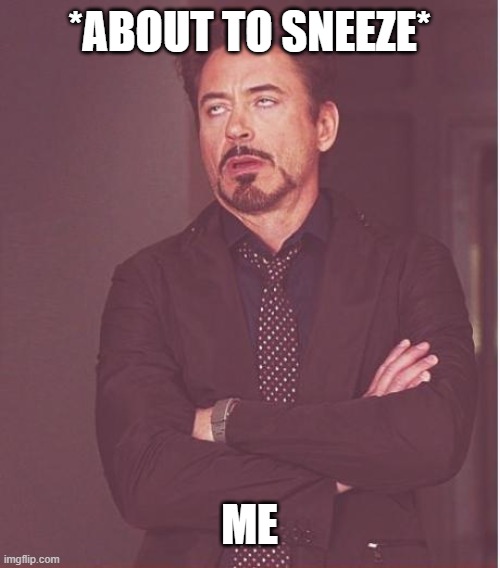 Face You Make Robert Downey Jr | *ABOUT TO SNEEZE*; ME | image tagged in memes,face you make robert downey jr,funny | made w/ Imgflip meme maker