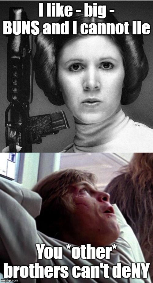 Leia Likes Big Buns | I like - big - BUNS and I cannot lie; You *other* brothers can't deNY | image tagged in star wars,princess leia,luke skywalker,puns,may the 4th,humor | made w/ Imgflip meme maker