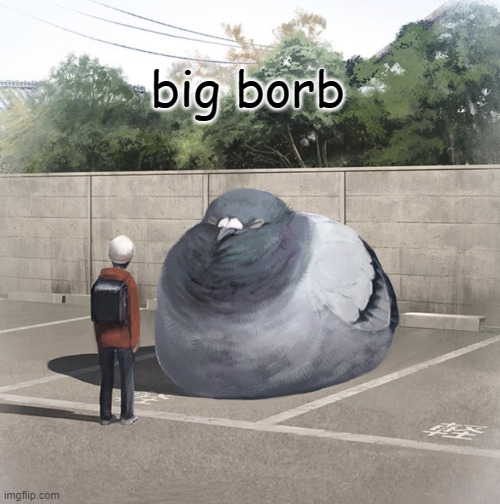 birb! | big borb | image tagged in beeg birb | made w/ Imgflip meme maker