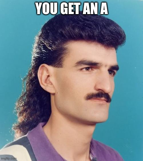 mullet  | YOU GET AN A | image tagged in mullet | made w/ Imgflip meme maker
