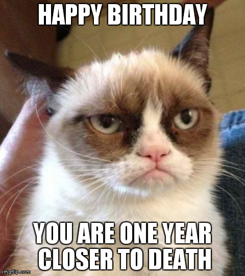 Grumpy Cat Reverse | HAPPY BIRTHDAY YOU ARE ONE YEAR CLOSER TO DEATH | image tagged in memes,grumpy cat | made w/ Imgflip meme maker