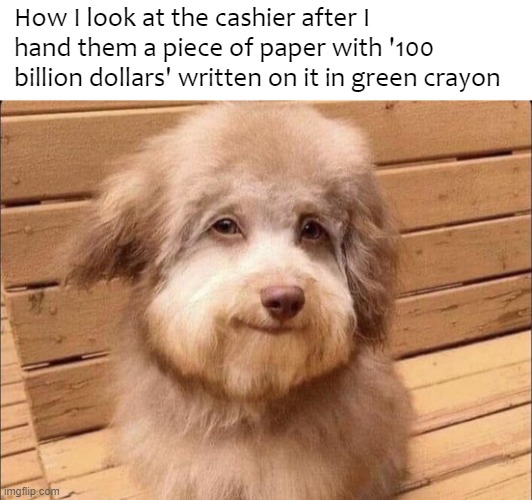 Reel money (pinkie promise) | How I look at the cashier after I hand them a piece of paper with '100 billion dollars' written on it in green crayon | image tagged in dogs,face,goofy ahh | made w/ Imgflip meme maker