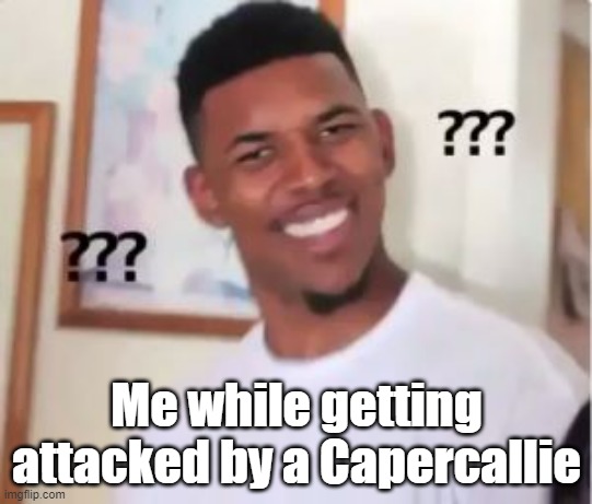 COTW meme. A Capercallie is a small bird, by the way. And I did get attacked by one while playing. | Me while getting attacked by a Capercallie | image tagged in nick young,hunting | made w/ Imgflip meme maker