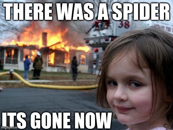 Disaster Girl | THERE WAS A SPIDER; ITS GONE NOW | image tagged in memes,disaster girl | made w/ Imgflip meme maker