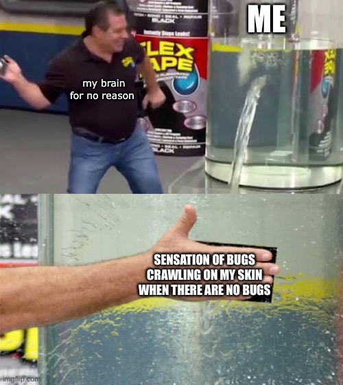 skin crawl | ME; my brain for no reason; SENSATION OF BUGS CRAWLING ON MY SKIN WHEN THERE ARE NO BUGS | image tagged in flex tape | made w/ Imgflip meme maker