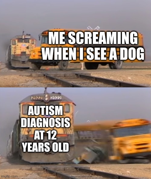 A train hitting a school bus | ME SCREAMING WHEN I SEE A DOG; AUTISM DIAGNOSIS AT 12 YEARS OLD | image tagged in a train hitting a school bus,autistic screeching,autism,autistic | made w/ Imgflip meme maker